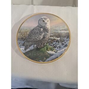 Hamilton Collection "Morning Mist" Noble Owls of America Collector's Plate
